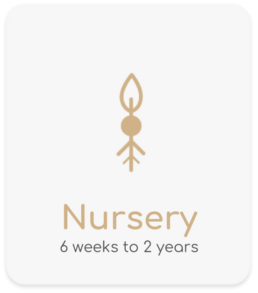 Nursery room in Southport Gold Coast for children aged 6 weeks to 2 years