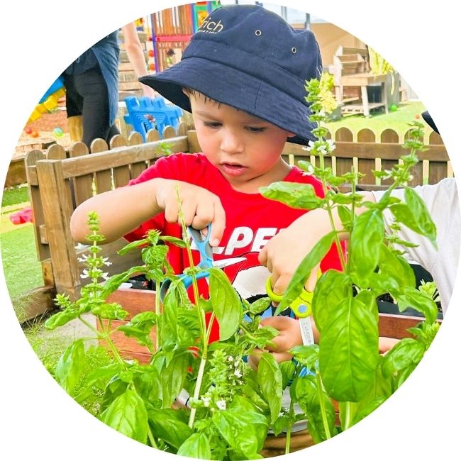 Garden program in our elevated rooftop play area Garden program in our elevated rooftop play area