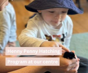 Henny Penny hatching program: Discovering the wonders of Mother Nature in our classrooms