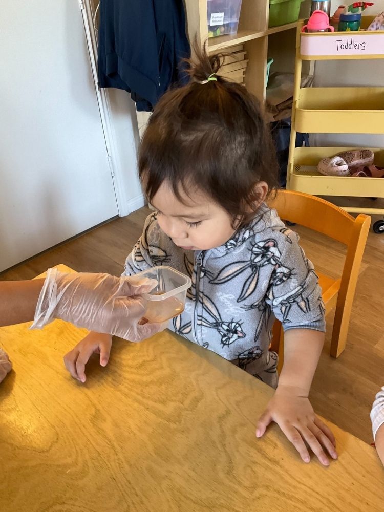 Toddlers food experience during NAIDOC week at Enrich Early Education