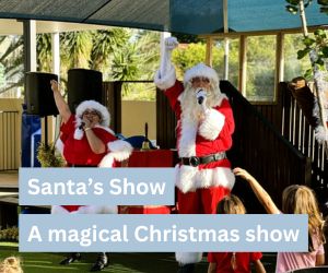 A magical Christmas show