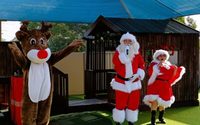 A magical Christmas show