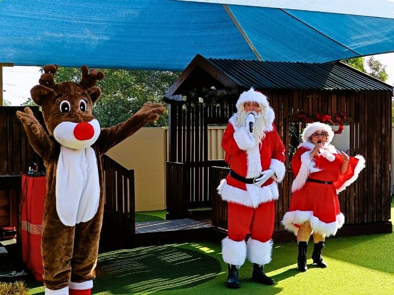 A magical Christmas show
