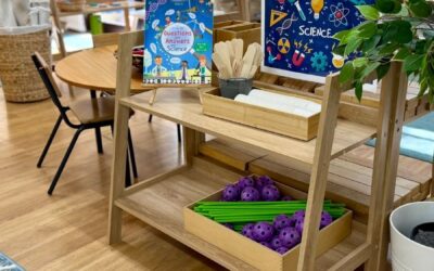 A Montessori inspired approach to selecting toys