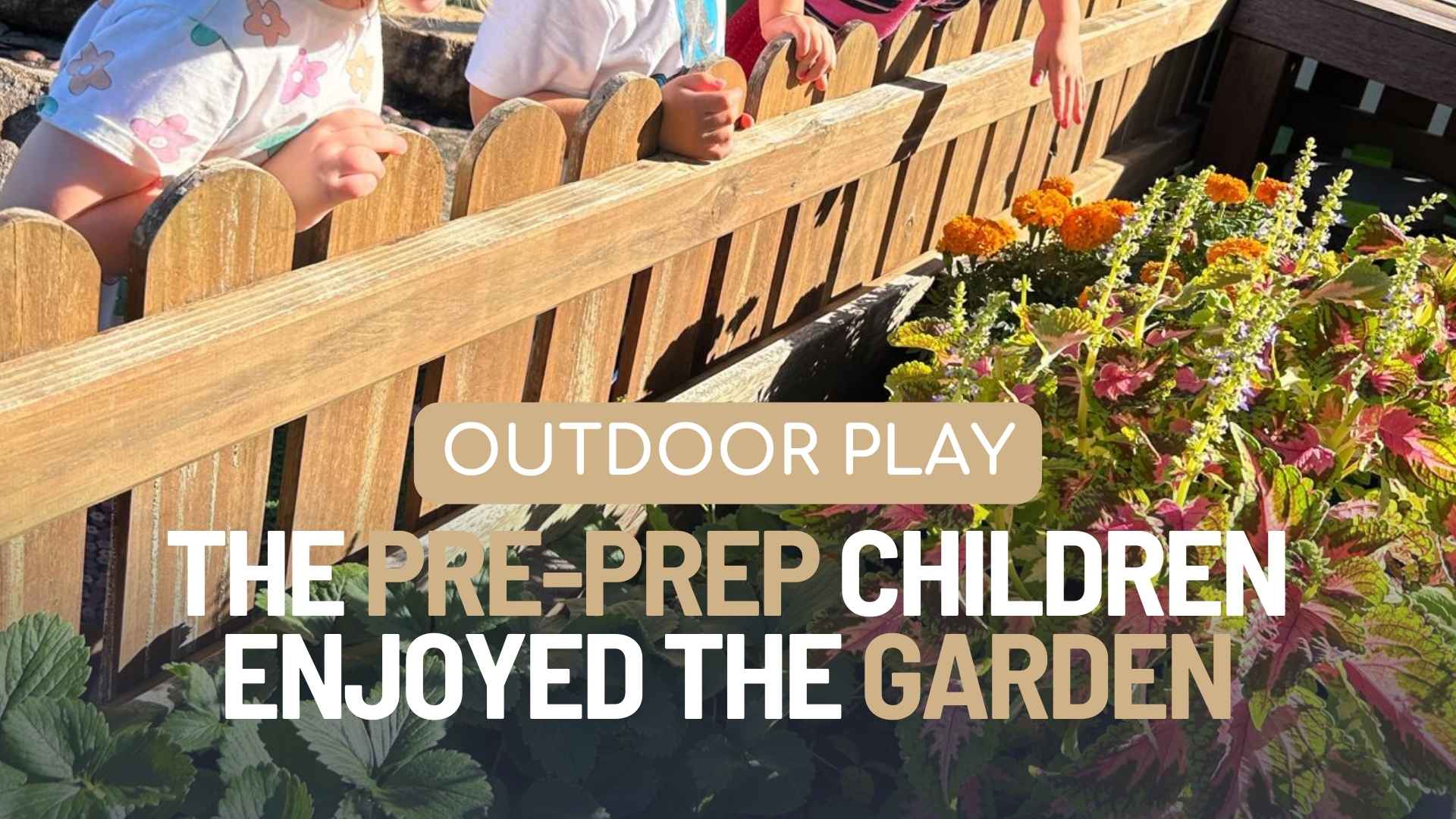 Gardening program at Enrich