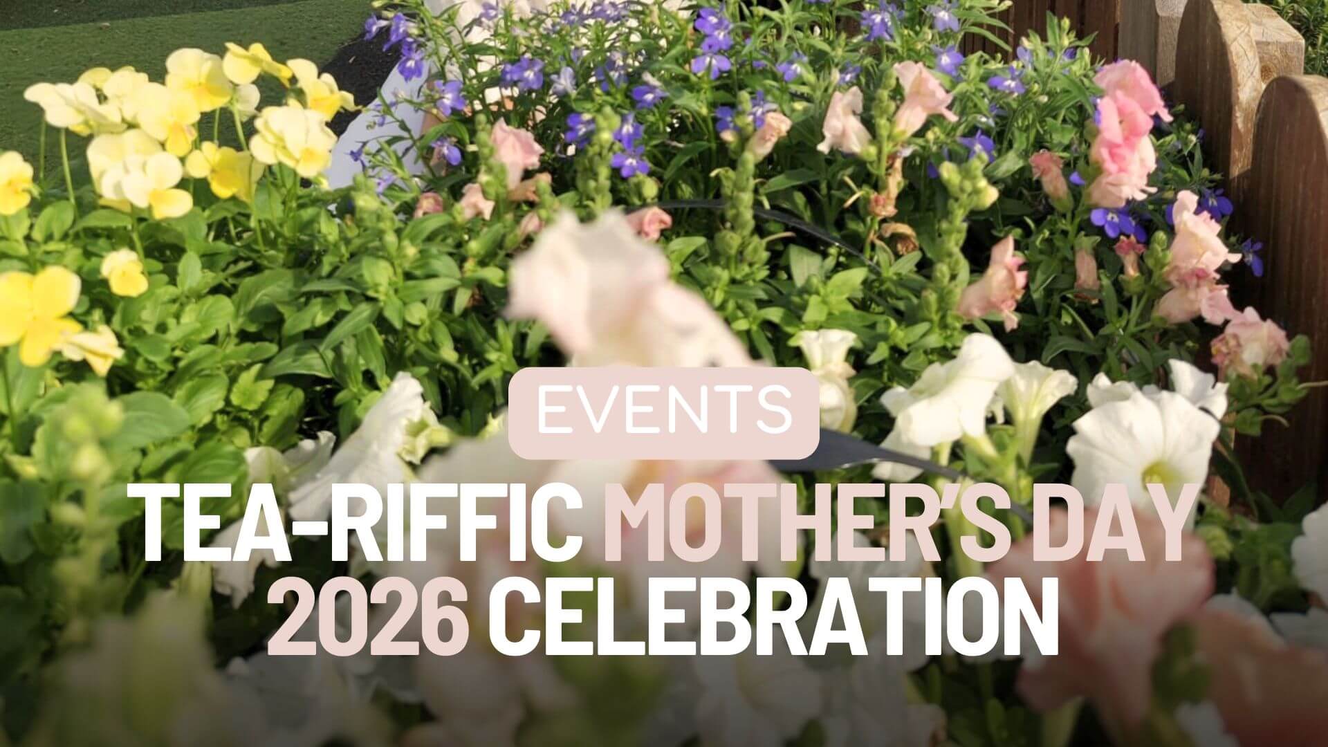 Mother's Day 2026 daycare Southport