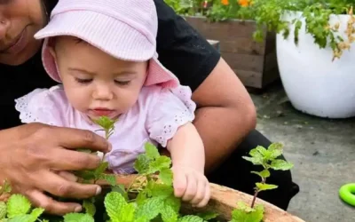 Gardening program at Enrich